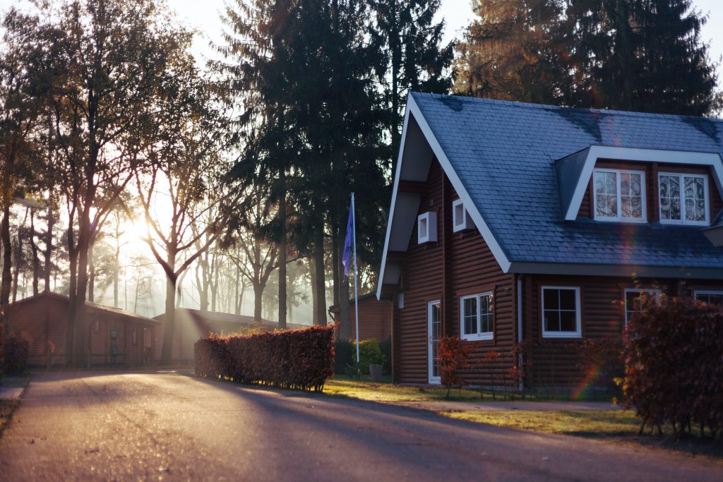 Maison en bois entourée d'arbres